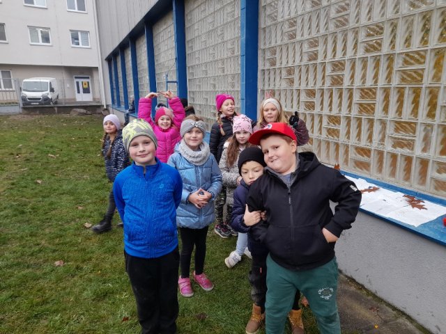 rijenskd 6